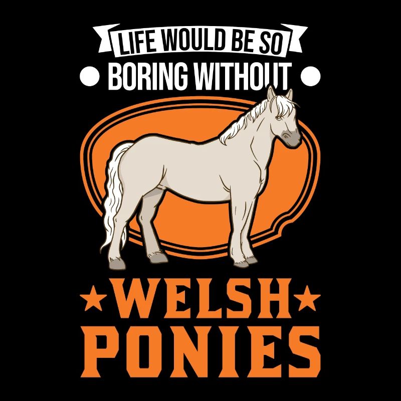 Cavalier de poney gallois