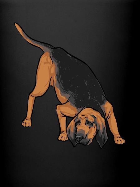 Limier Chien Limier