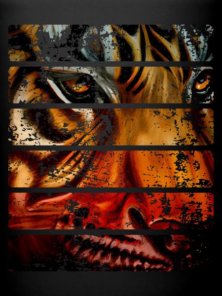 Tigre