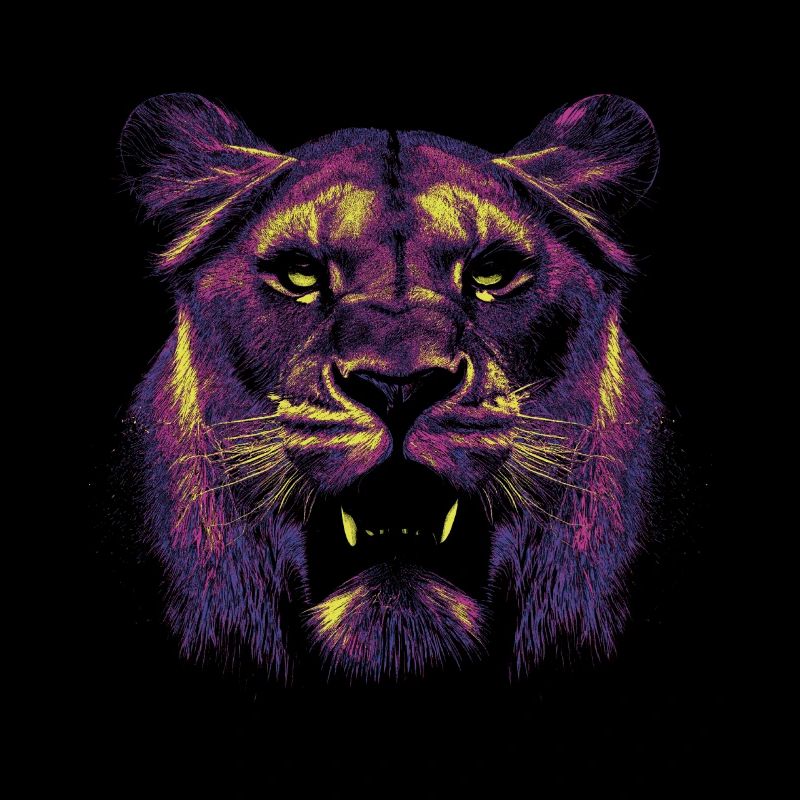 Colored lioness's head