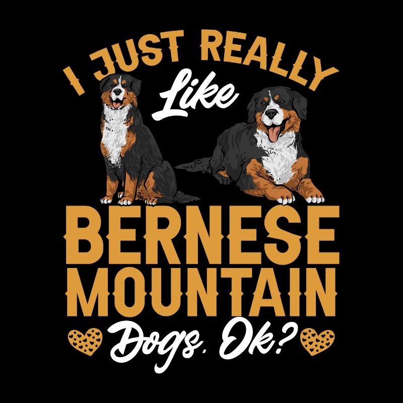 Bouvier bernois