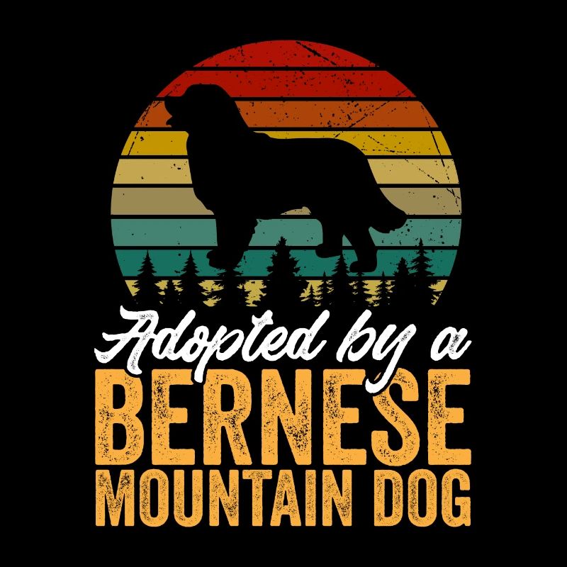 Bouvier bernois