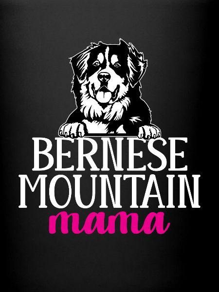 Bouvier bernois