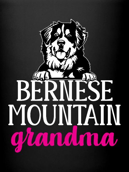Bouvier bernois