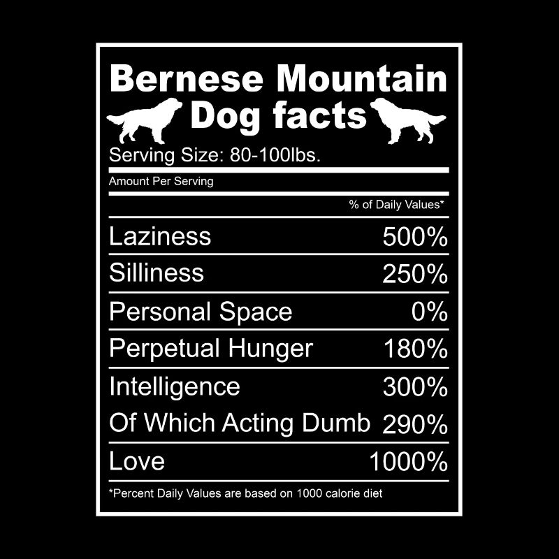Bouvier bernois