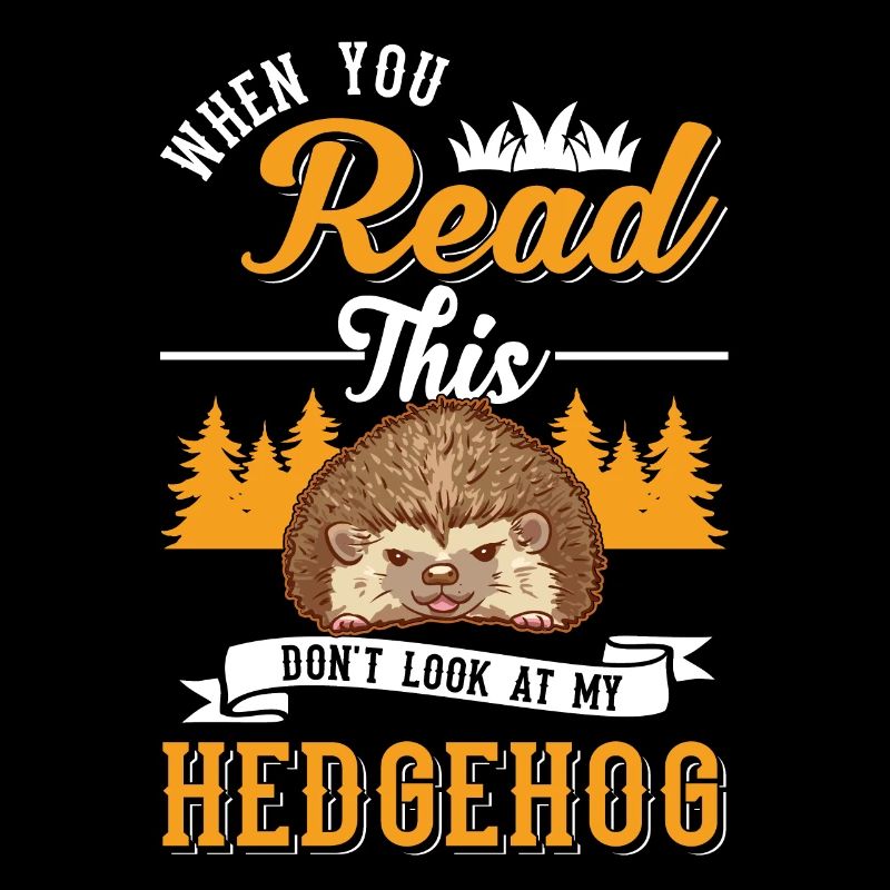 Hedgehog Gift Stacheligel