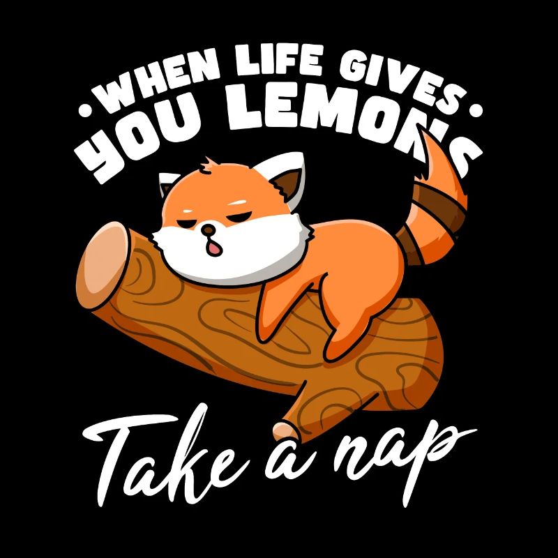 Drôle de panda roux endormi