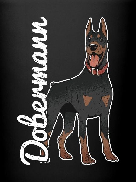 Dobermann Chien Doberman