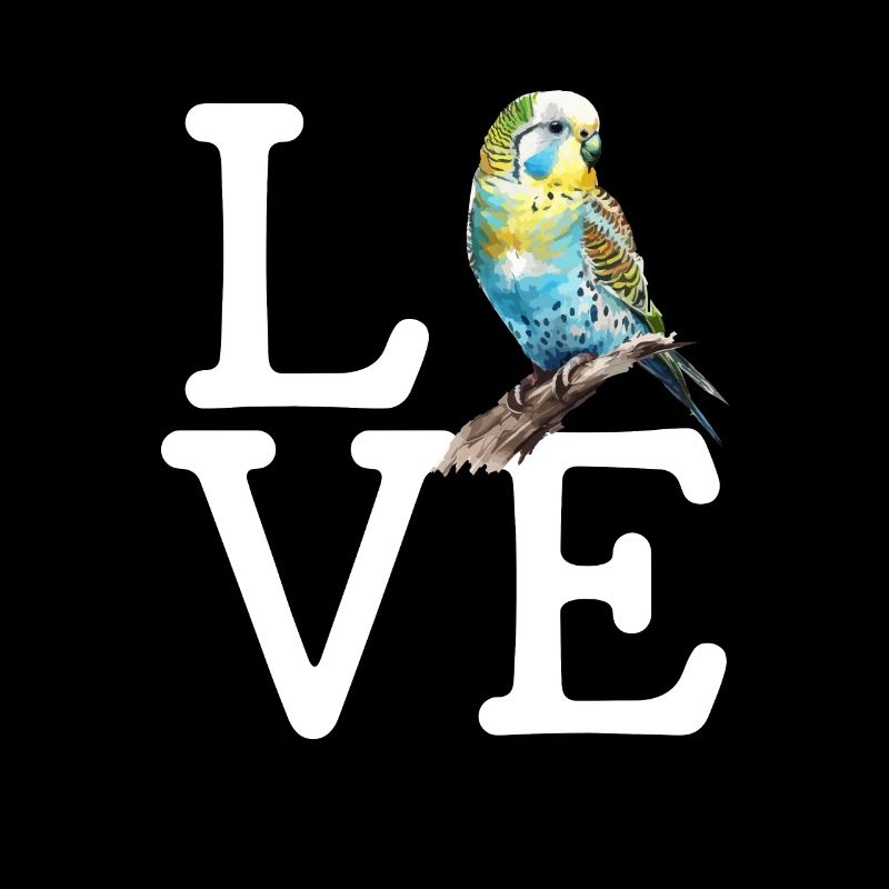 budgerigar parakeet, Budgie