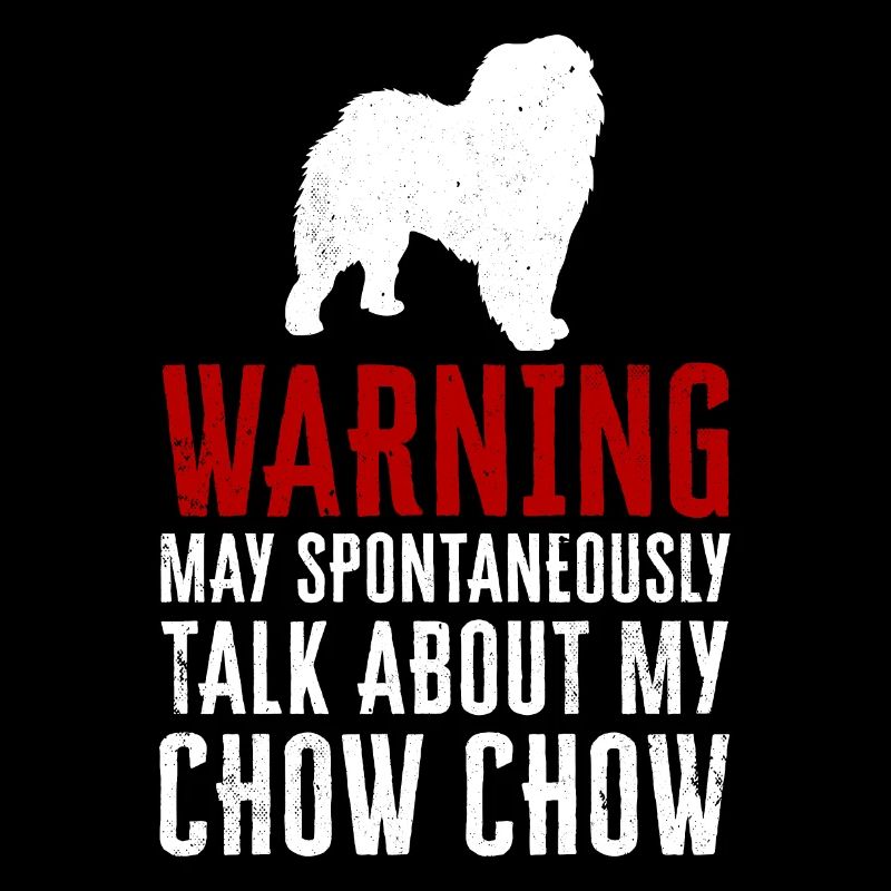 Chow Chow Chien