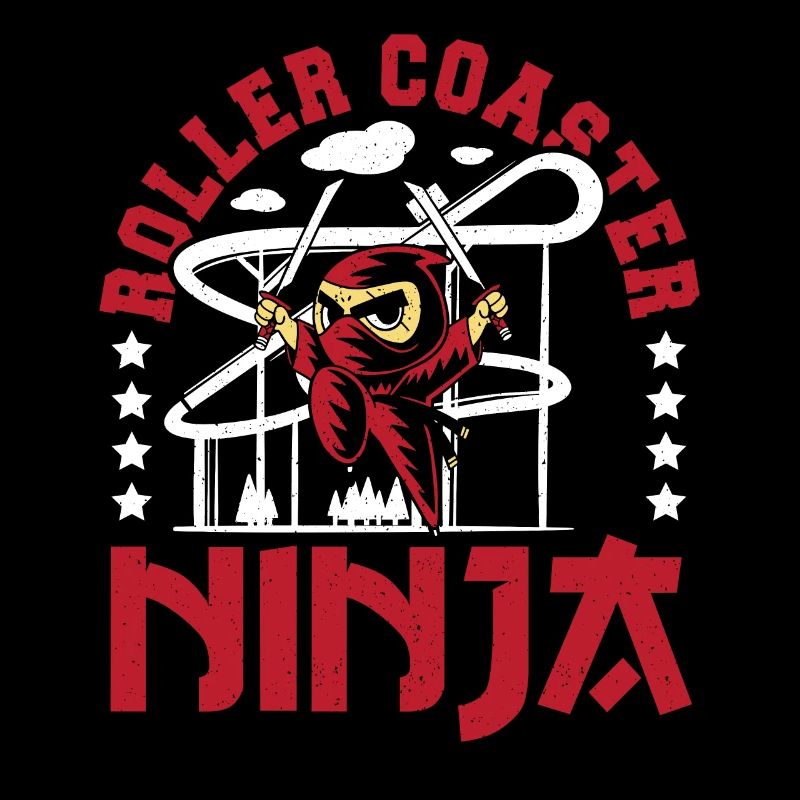 Roller Coaster Ninja Amusement Park Boy Theme Park