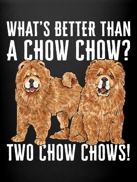 Chow Chow Dog