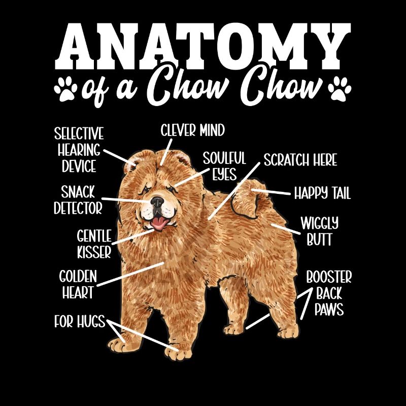 Chow Chow Chien