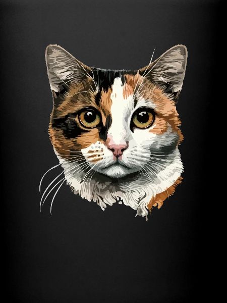 Chat Calico