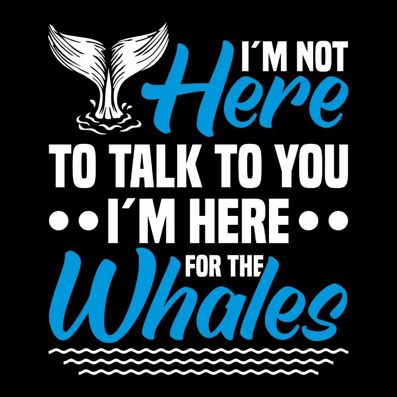 Observation des baleines Observation des baleines Orques Bleu Baleine