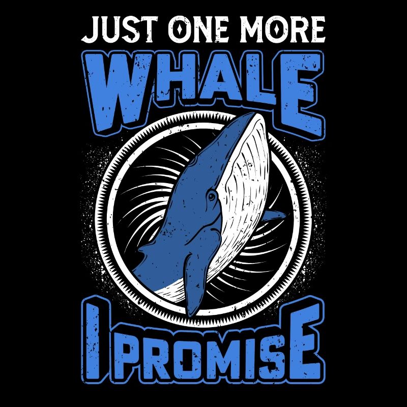 Observation des baleines Observation des baleines Orques Bleu Baleine