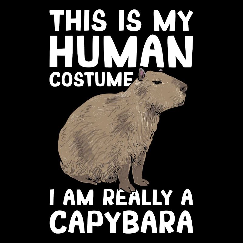 Capybara rodent