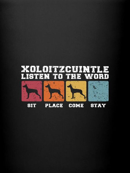 Xoloitzcuintle écouter la parole