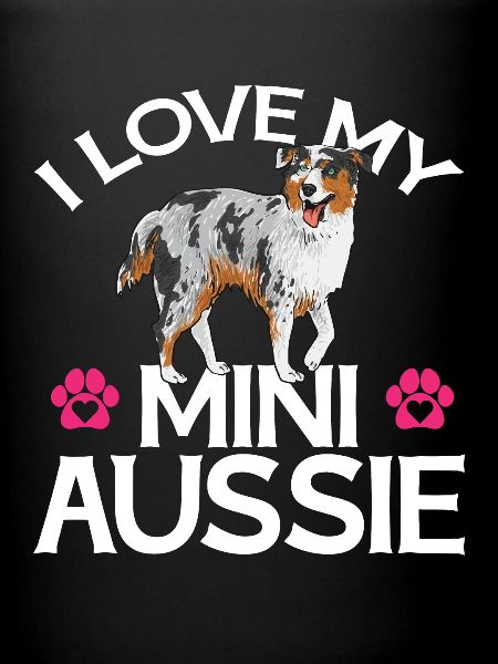 Miniature Australian Shepherd