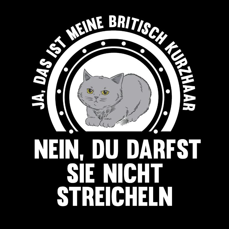 Britisch Kurzhaar Katze