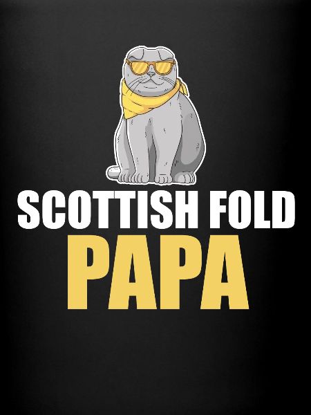 Scottish Fold Cat