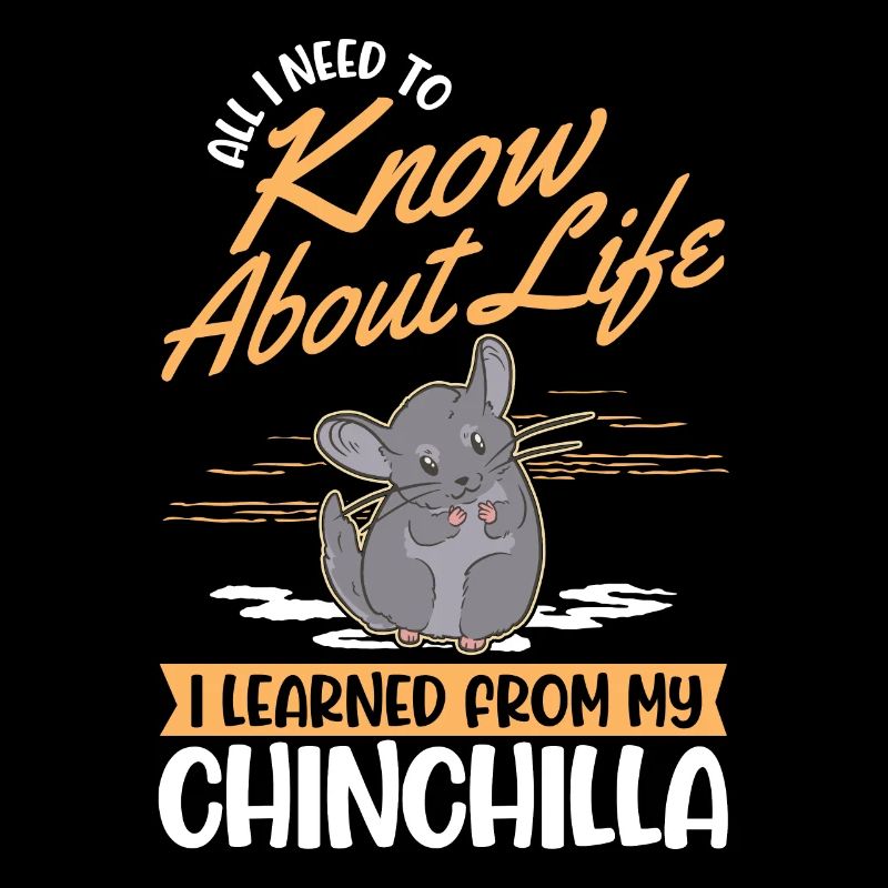 Dicton Chinchilla