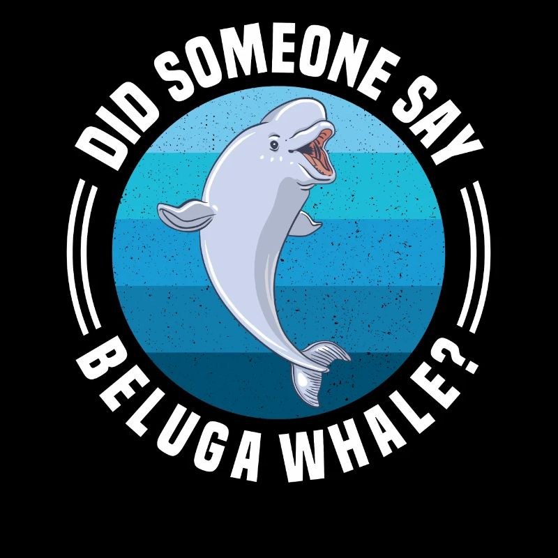 Beluga Whale Beluga Whale Whale Watching Dolphin Dolphin