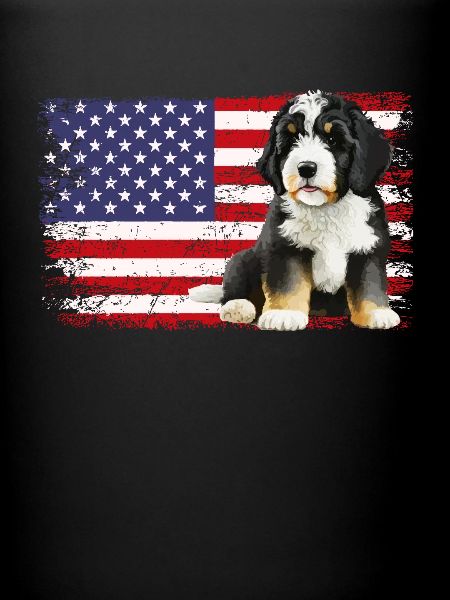 bernedoodle drapeau américain
