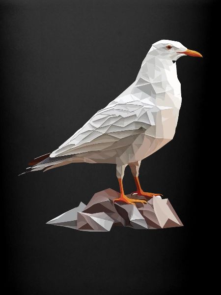 Mouette polygonale sur rochers