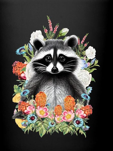 Fleurs de raton laveur