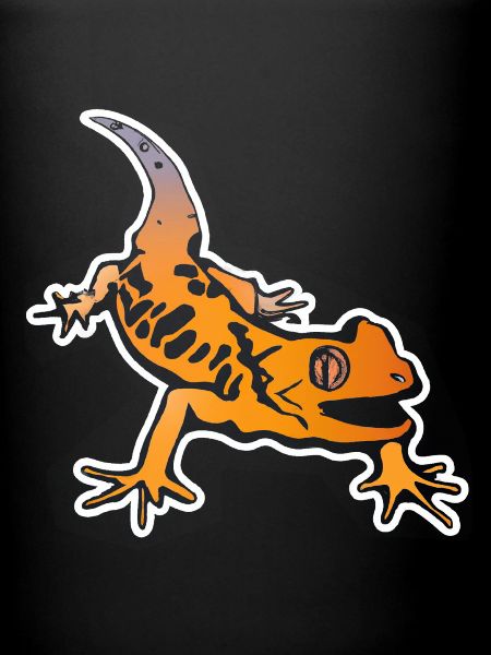 Salamander Gecko Comic