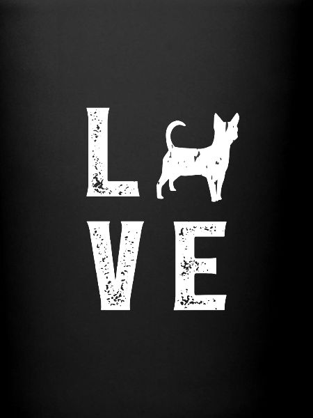 Amour Chihuahua