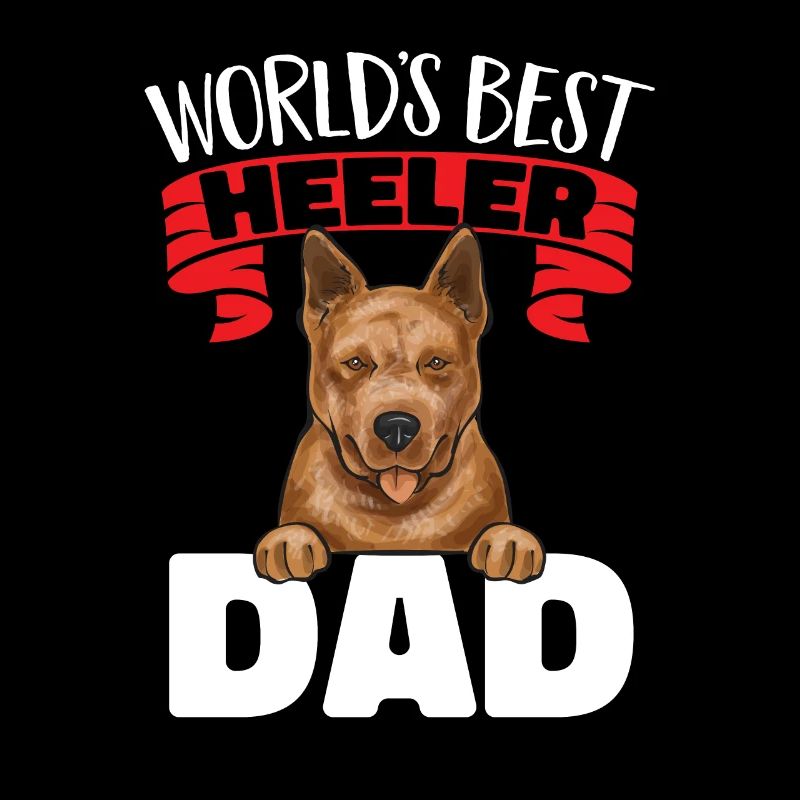Bouvier australien Red Blue Heeler