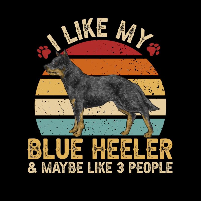 Bouvier australien Red Blue Heeler