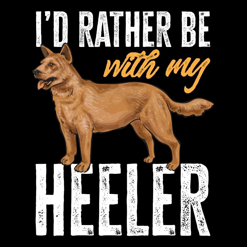 Bouvier australien Red Blue Heeler
