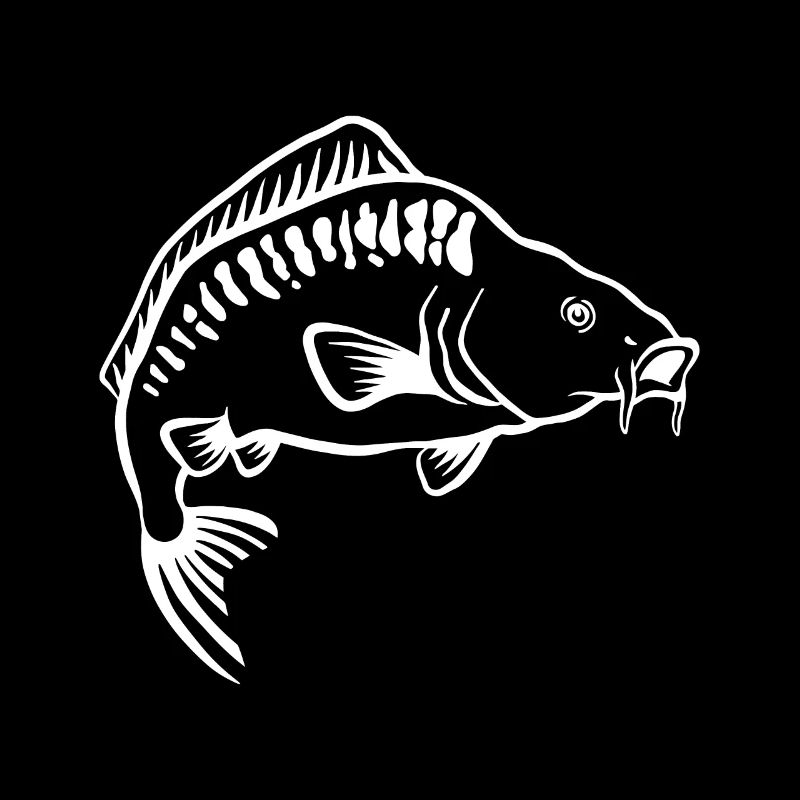 Requins pêcheurs de carpes