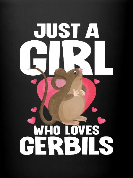 Gerbil Mouse Gift