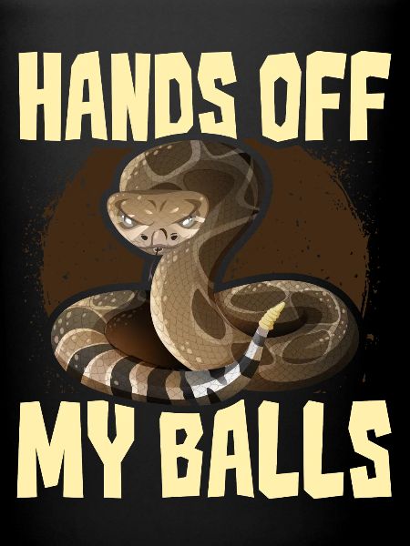 Ball Python Snake