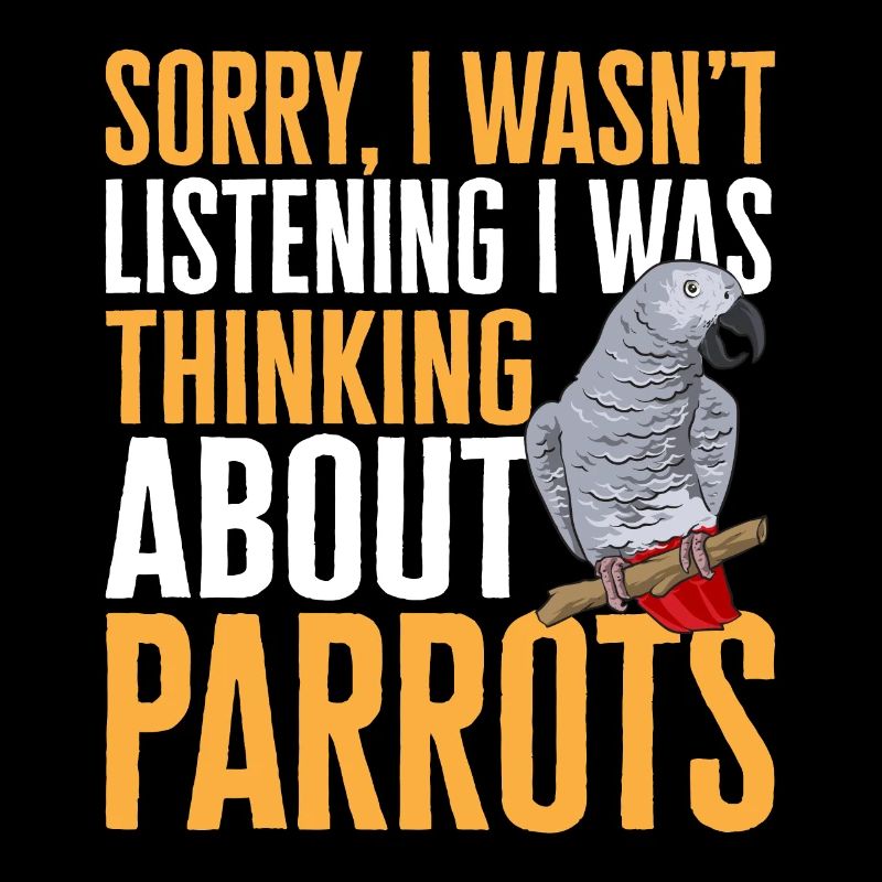 Graupapagei African Grey Parrot Papagei