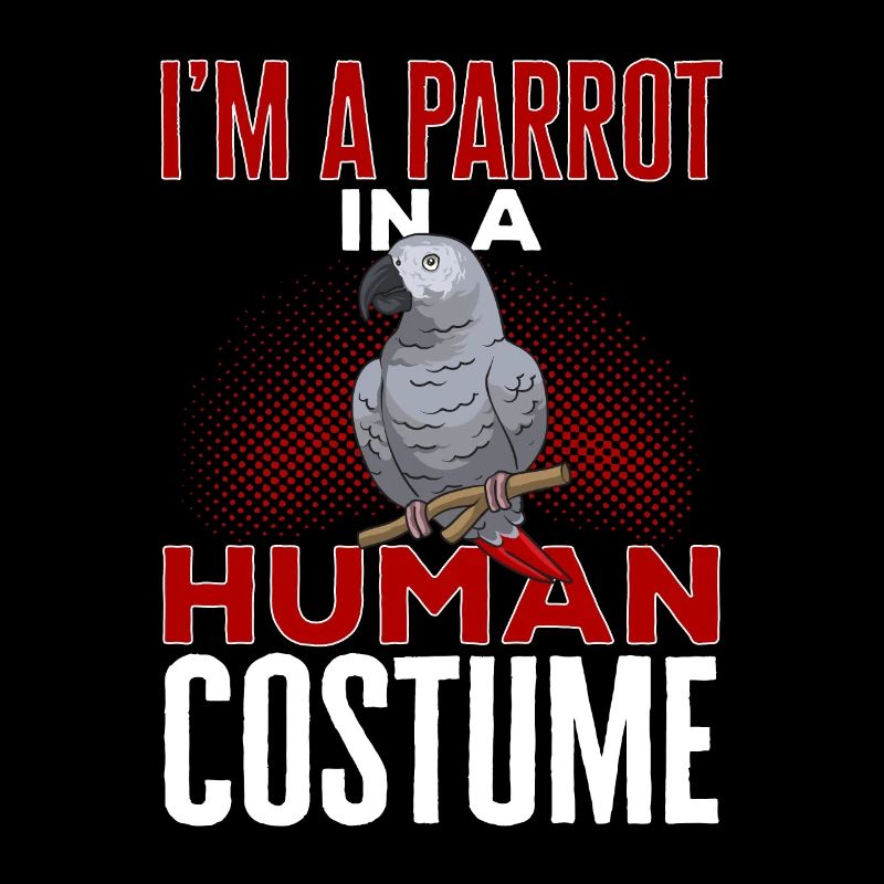 Graupapagei African Grey Parrot Papagei