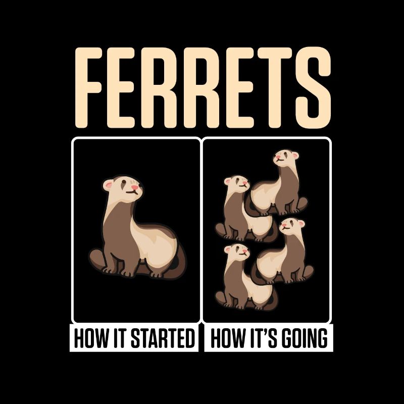 Weasel Cute Ferrets How It Started How It's Going