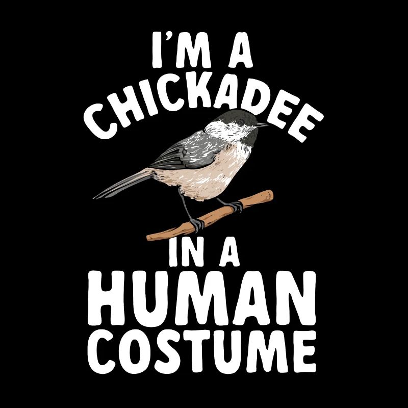 Meise Vogel Chickadee Vogelbeobachtung