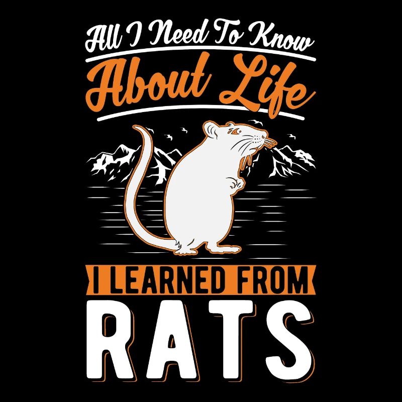 Propriétaire de rats de rats Cage à rats