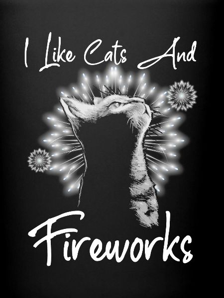 Chats et feux d’artifice
