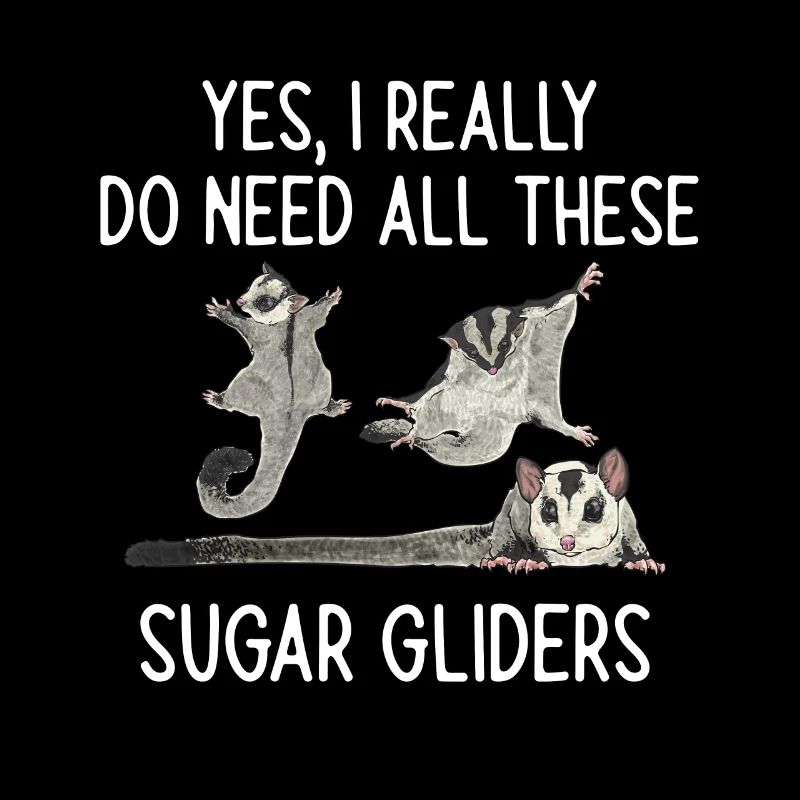 Kurzkopfgleitbeutler Sugar Glider