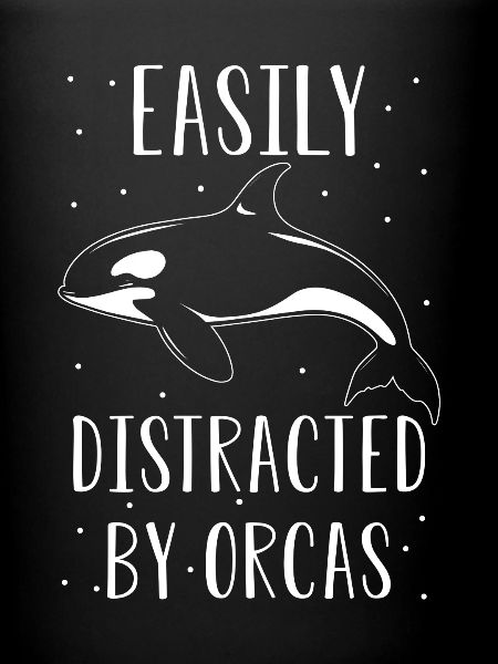 Orque Whale Dicton
