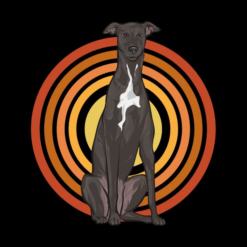 Lévrier italien Greyhound Chiens