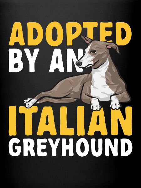 Lévrier italien Greyhound Chiens