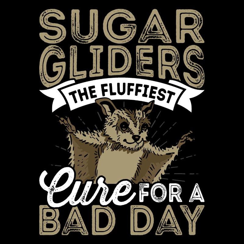Sugar Gliders Fluffiest Cure Sugar Glider Besitzer