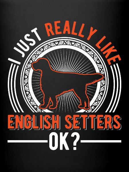 Setter anglais Englischer Setter